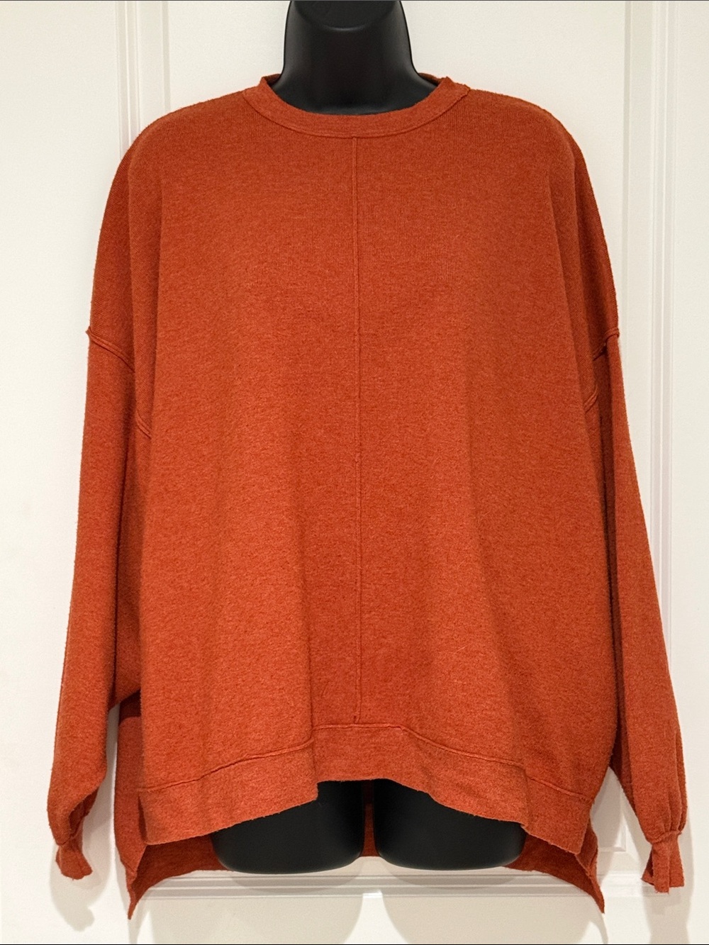 Free People Long Sleeved Pullover Sweater